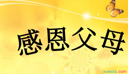 [2013年夏季论文]感恩节父母_500字