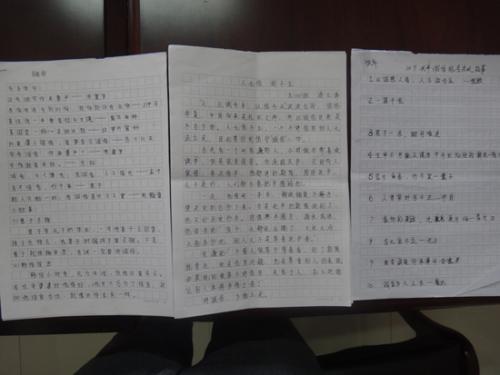 [2013年暑假录制]我和我的妹妹抓住电视_550字
