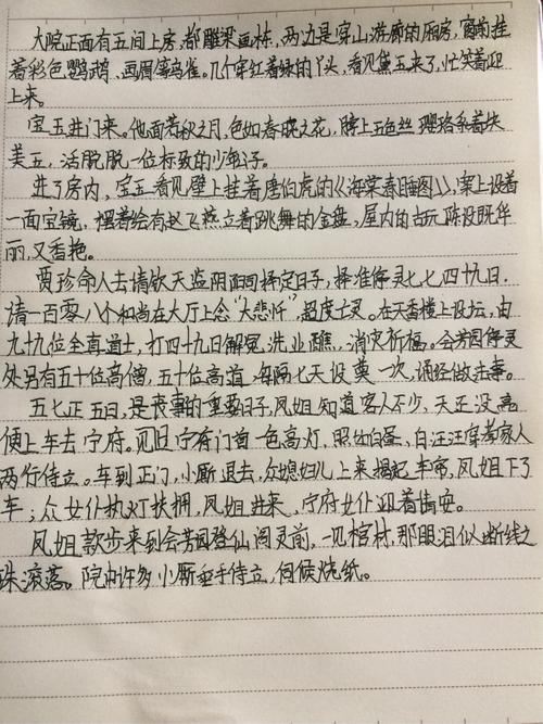 [2013年夏季论文]阅读“红色豪宅的梦想”_1200字