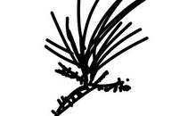 [2013暑期征文]靓丽的一抹灰色_1200字