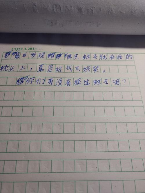 [2013年暑假录制]我的暑假生活_400字