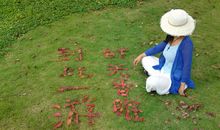 [2013暑假征文]游玉皇山_900字