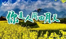 [2012暑假征文]丝绸之路——魔鬼？天使？（3）_800字