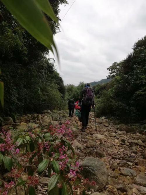 [2012年夏季论文]六山_600字