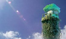 [2013暑期征文]逛天空之城_700字