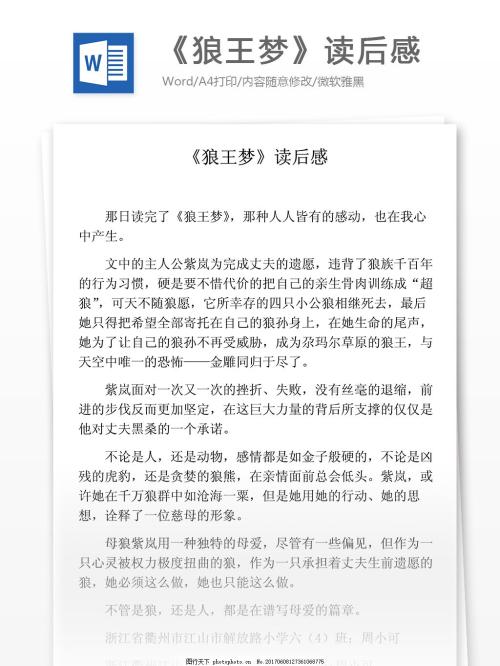 [2013年夏季论文]阅读_800字后
