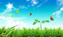 [2012暑期征文]路过夏天_1200字