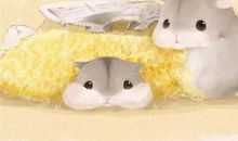 《仓鼠日记》之：王子特急！手术中！_1200字