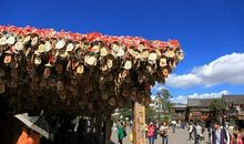 [2013暑期征文]丽江古城之旅_2000字