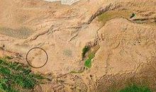 那儿，曾经是片绿洲_800字