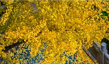 [2013暑期征文] 游览赤山_500字