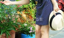 [2013暑期征文]读《彼得?潘》有感_250字