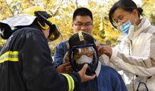 [2013暑假征文] 动物——最棒的表演者_1000字