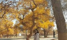 我最喜欢的季节——春_350字