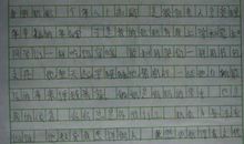 我的个人质料_200字