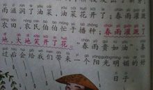 姥姥你早点来_350字