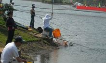 小河宽宽的_450字