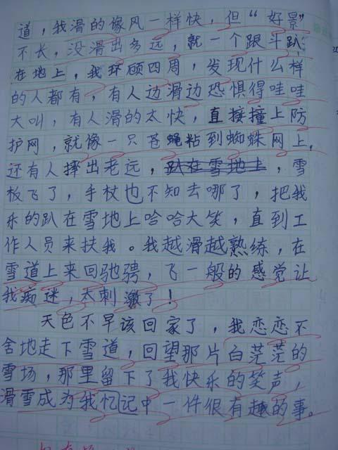 冰乐趣_400字