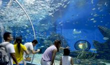 [2013暑期征文]有趣的极地海洋公园_700字