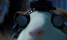 《仓鼠日记》之：萌动·豚鼠特工队_750字