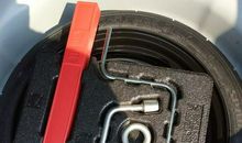 我家的新成员_250字