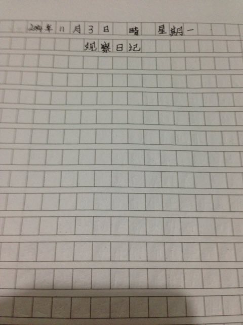 “仓鼠日记”：欢迎来到我的家 - 仓鼠_1200字