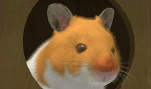 《仓鼠日记》之：仓鼠_750字