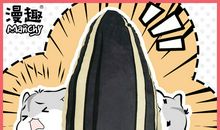 《仓鼠日记》之：啊！瓜子_900字