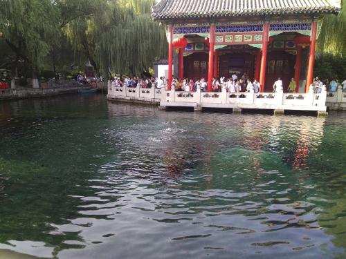 二年级叙事组成：访问芭蕾舞短裙春季Park_350字