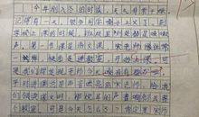 二年级叙事作文：难忘的活动_300字