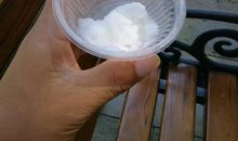 [2013暑期征文]暑假奇遇之观蜂记_900字