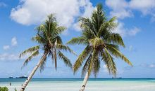 [2013暑期征文]暑假生活之游分界洲岛_650字