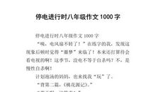 [2013暑期征文]停电进行时_700字