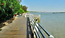 [2013暑期征文]游滨江湿地公园·爽_900字