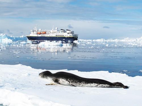 [2013年夏季论文]南极奇迹_750字