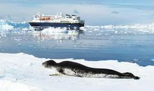 [2013暑期征文]南极奇观_750字