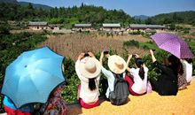 [2013暑期征文]乡村一日游_900字