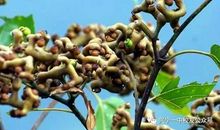 [2013暑期征文]电脑趣事_1200字