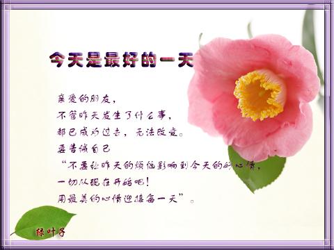 最酷的一天_400字