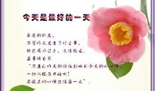 最爽的一天_400字