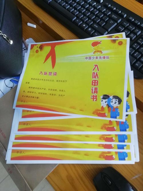 我加入了年轻的先驱_400字