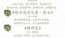 花心动——咏荷_100字