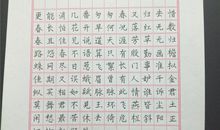摸鱼儿_150字