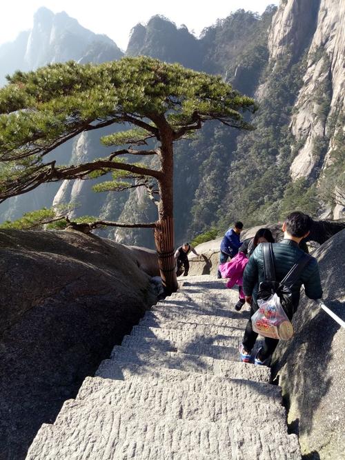 黄山旅游_1200字