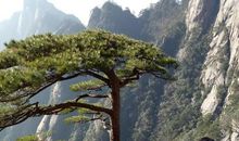 黄山游记_1200字