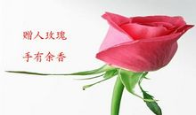 [2012暑期征文]赠人玫瑰，手有余香_800字