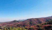 [2012暑期征文]游家乡竹林_750字