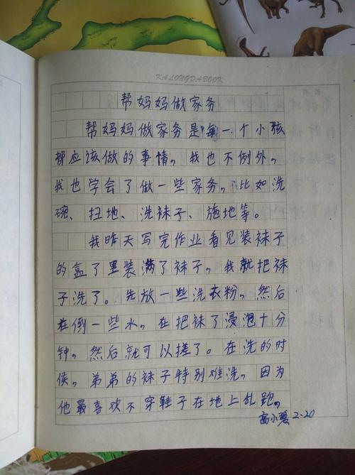 [2012年夏季论文]第一项学习做家务_1500字