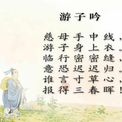 [2012年夏季论文]读“木质”感觉_1500字
