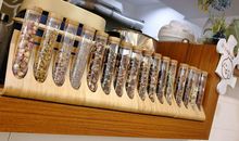 [2012暑期征文]一次意外的发现_800字